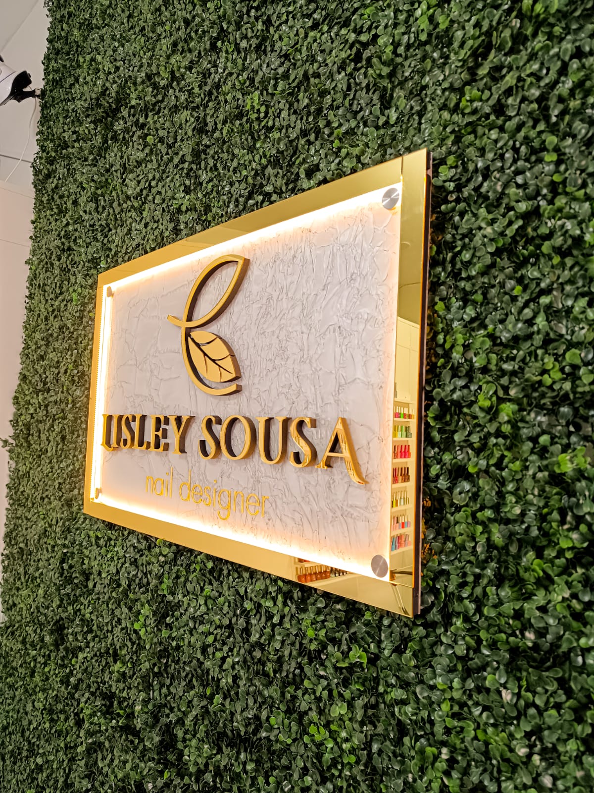 Placa Borda  LED - Imagem 16